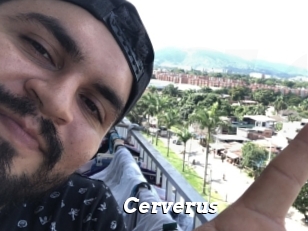 Cerverus