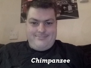 Chimpanzee