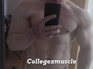 Collegexmuscle