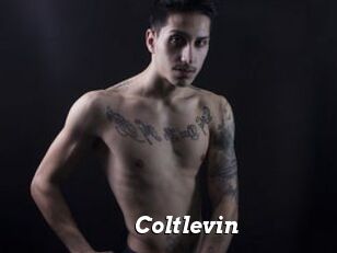 Coltlevin