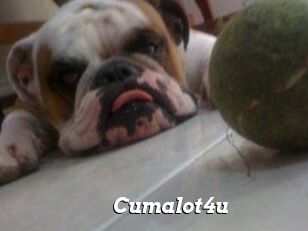 Cumalot4u