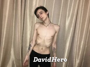 DavidHero