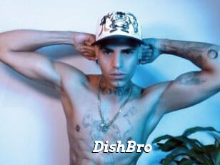 DishBro