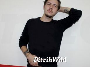 DitrihWild
