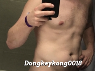 Dongkeykong0018