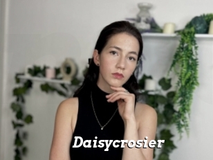 Daisycrosier