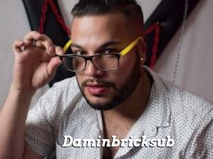 Daminbricksub