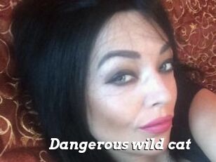 Dangerous_wild_cat