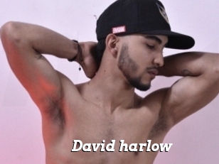 David_harlow
