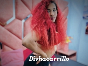 Divhacarrillo