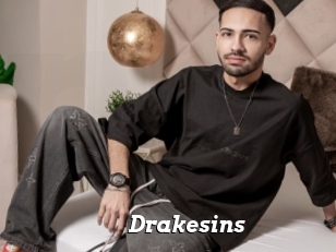 Drakesins