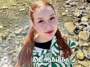 Edinabibbs