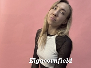 Elgacornfield