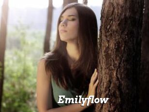 Emilyflow