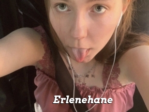 Erlenehane