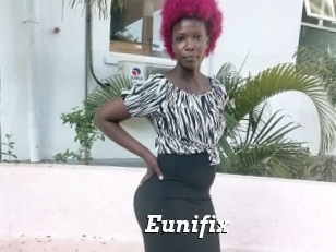 Eunifix