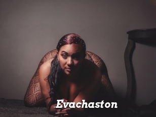 Evachaston