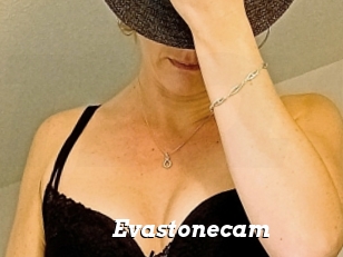 Evastonecam