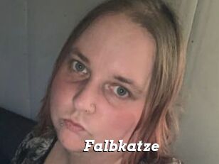 Falbkatze