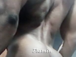 Flamin