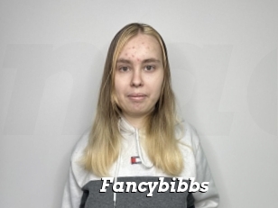 Fancybibbs