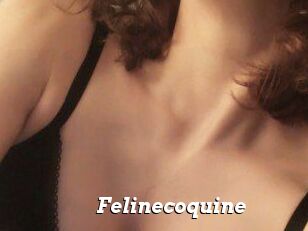Felinecoquine
