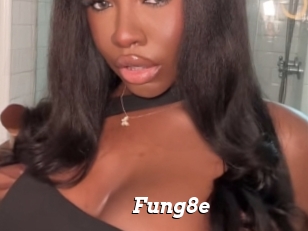 Fung8e