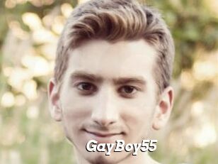 GayBoy55