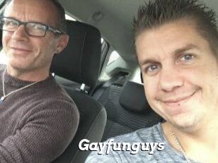 Gayfunguys