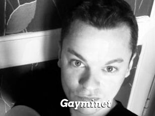 Gayminet