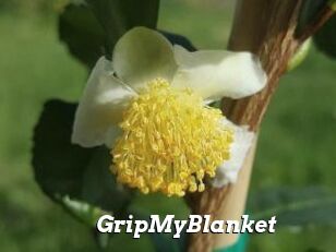 GripMyBlanket
