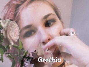 Grothia