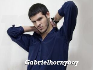 Gabrielhornyboy