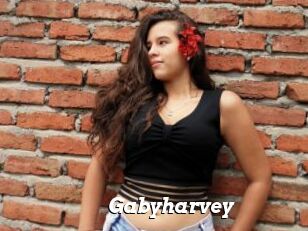 Gabyharvey