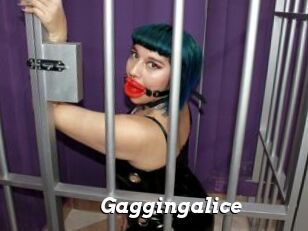 Gaggingalice
