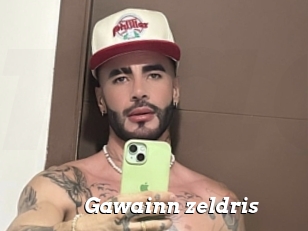 Gawainn_zeldris