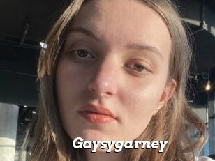 Gaysygarney