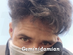 Geminidamian
