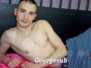 Georgecub