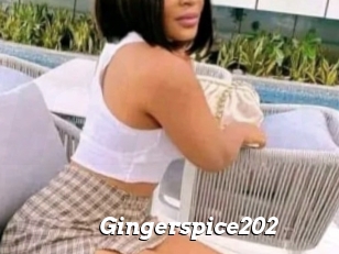 Gingerspice202