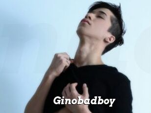 Ginobadboy