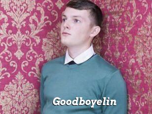 Goodboyelin