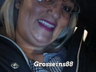 Grosseins88