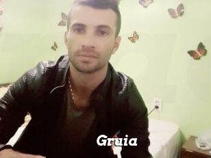 Gruia