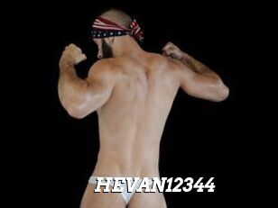 HEVAN12344