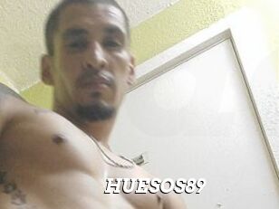 HUESOS89