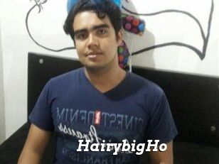HairybigHo