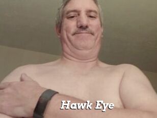 Hawk_Eye
