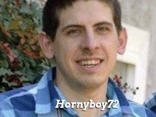 Hornyboy72