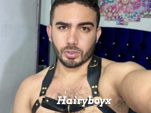 Hairyboyx